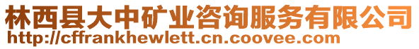 林西縣大中礦業(yè)咨詢服務(wù)有限公司