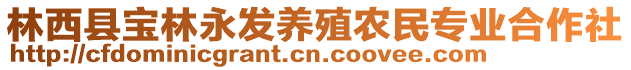 林西县宝林永发养殖农民专业合作社