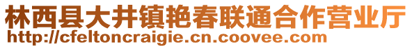 林西縣大井鎮(zhèn)艷春聯(lián)通合作營業(yè)廳