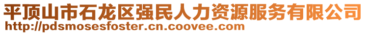 平頂山市石龍區(qū)強(qiáng)民人力資源服務(wù)有限公司