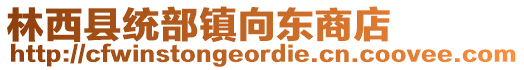 林西縣統(tǒng)部鎮(zhèn)向東商店