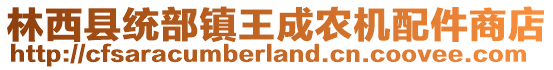 林西縣統(tǒng)部鎮(zhèn)王成農(nóng)機(jī)配件商店