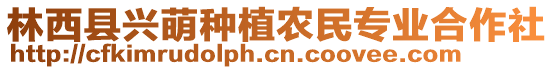 林西縣興萌種植農(nóng)民專業(yè)合作社