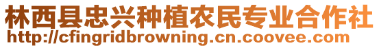 林西縣忠興種植農(nóng)民專業(yè)合作社