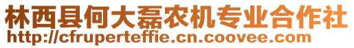 林西縣何大磊農(nóng)機專業(yè)合作社