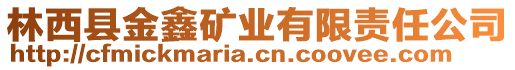 林西縣金鑫礦業(yè)有限責(zé)任公司