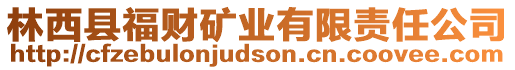 林西縣福財(cái)?shù)V業(yè)有限責(zé)任公司