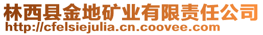 林西縣金地礦業(yè)有限責(zé)任公司