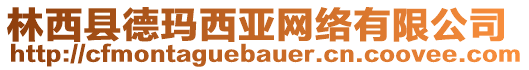 林西縣德瑪西亞網(wǎng)絡(luò)有限公司