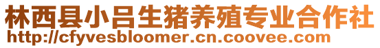 林西縣小呂生豬養(yǎng)殖專業(yè)合作社