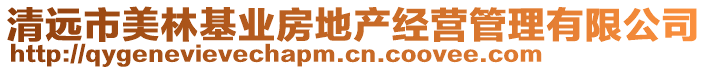 清遠市美林基業(yè)房地產(chǎn)經(jīng)營管理有限公司