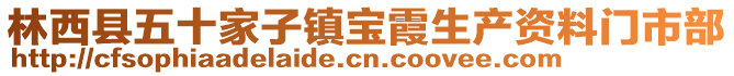 林西县五十家子镇宝霞生产资料门市部