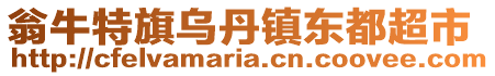 翁牛特旗烏丹鎮(zhèn)東都超市