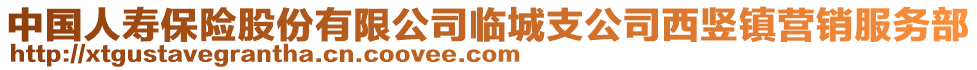 中国人寿保险股份有限公司临城支公司西竖镇营销服务部