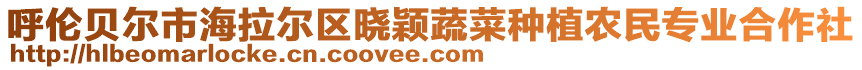 呼倫貝爾市海拉爾區(qū)曉穎蔬菜種植農(nóng)民專業(yè)合作社