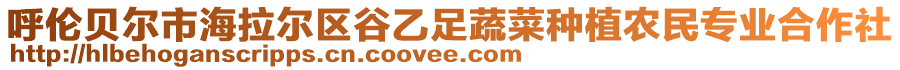 呼倫貝爾市海拉爾區(qū)谷乙足蔬菜種植農(nóng)民專(zhuān)業(yè)合作社