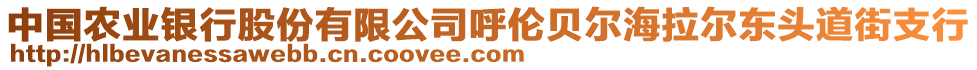 中國農(nóng)業(yè)銀行股份有限公司呼倫貝爾海拉爾東頭道街支行