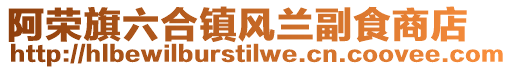 阿榮旗六合鎮(zhèn)風蘭副食商店