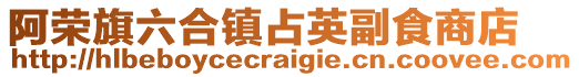 阿榮旗六合鎮(zhèn)占英副食商店