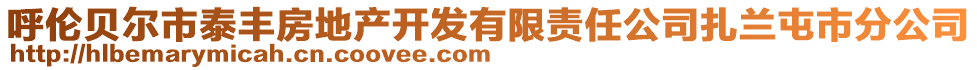 呼倫貝爾市泰豐房地產(chǎn)開發(fā)有限責(zé)任公司扎蘭屯市分公司