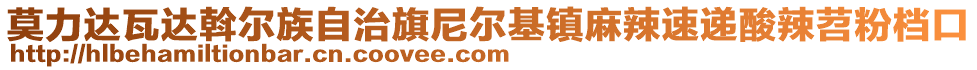 莫力達(dá)瓦達(dá)斡爾族自治旗尼爾基鎮(zhèn)麻辣速遞酸辣苕粉檔口