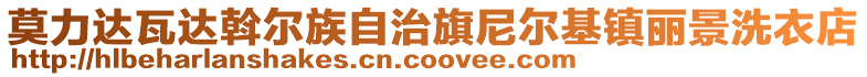 莫力達瓦達斡爾族自治旗尼爾基鎮(zhèn)麗景洗衣店