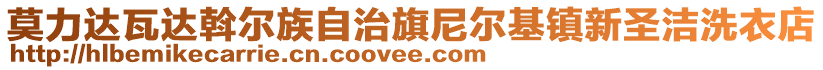 莫力達瓦達斡爾族自治旗尼爾基鎮(zhèn)新圣潔洗衣店