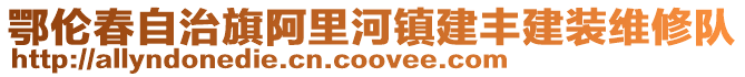 鄂倫春自治旗阿里河鎮(zhèn)建豐建裝維修隊(duì)