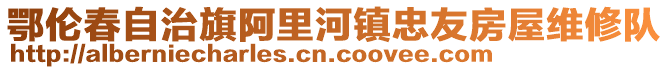 鄂伦春自治旗阿里河镇忠友房屋维修队