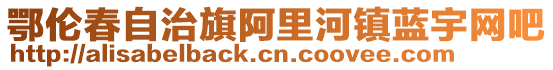 鄂倫春自治旗阿里河鎮(zhèn)藍(lán)宇網(wǎng)吧