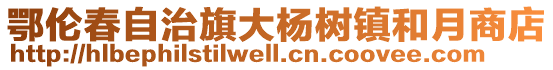 鄂倫春自治旗大楊樹鎮和月商店