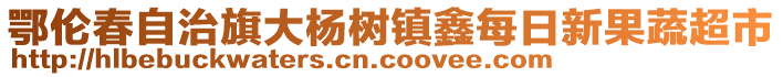 鄂倫春自治旗大楊樹鎮(zhèn)鑫每日新果蔬超市