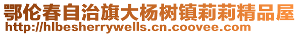 鄂倫春自治旗大楊樹鎮(zhèn)莉莉精品屋