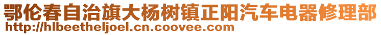 鄂倫春自治旗大楊樹鎮正陽汽車電器修理部
