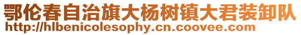鄂倫春自治旗大楊樹鎮大君裝卸隊