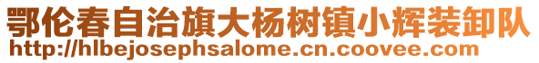 鄂倫春自治旗大楊樹鎮小輝裝卸隊