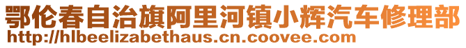 鄂倫春自治旗阿里河鎮(zhèn)小輝汽車修理部