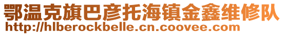 鄂溫克旗巴彥托海鎮(zhèn)金鑫維修隊(duì)