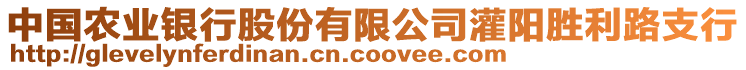 中国农业银行股份有限公司灌阳胜利路支行