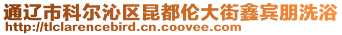 通遼市科爾沁區(qū)昆都倫大街鑫賓朋洗浴