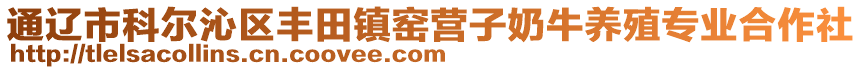 通遼市科爾沁區(qū)豐田鎮(zhèn)窯營子奶牛養(yǎng)殖專業(yè)合作社