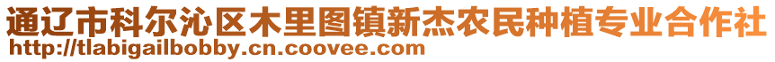 通遼市科爾沁區(qū)木里圖鎮(zhèn)新杰農民種植專業(yè)合作社