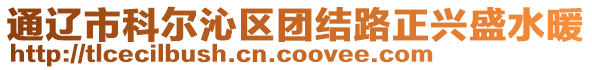 通遼市科爾沁區(qū)團結(jié)路正興盛水暖