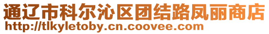 通遼市科爾沁區(qū)團(tuán)結(jié)路鳳麗商店