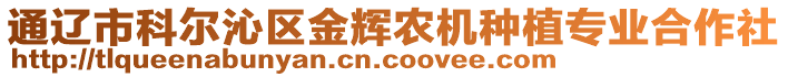 通遼市科爾沁區(qū)金輝農(nóng)機(jī)種植專(zhuān)業(yè)合作社