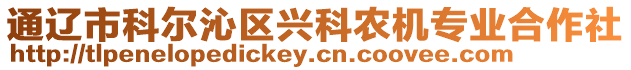 通遼市科爾沁區(qū)興科農(nóng)機(jī)專業(yè)合作社