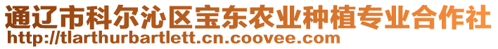 通遼市科爾沁區(qū)寶東農(nóng)業(yè)種植專業(yè)合作社