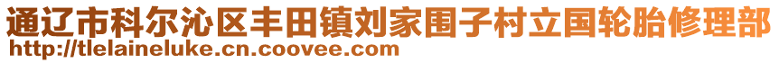 通遼市科爾沁區(qū)豐田鎮(zhèn)劉家圍子村立國輪胎修理部