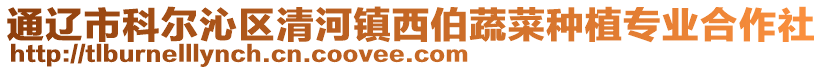 通遼市科爾沁區(qū)清河鎮(zhèn)西伯蔬菜種植專業(yè)合作社