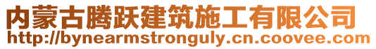 內(nèi)蒙古騰躍建筑施工有限公司